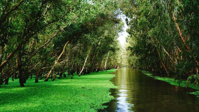 Du lịch Cần Thơ mùa nào đẹp nhất?